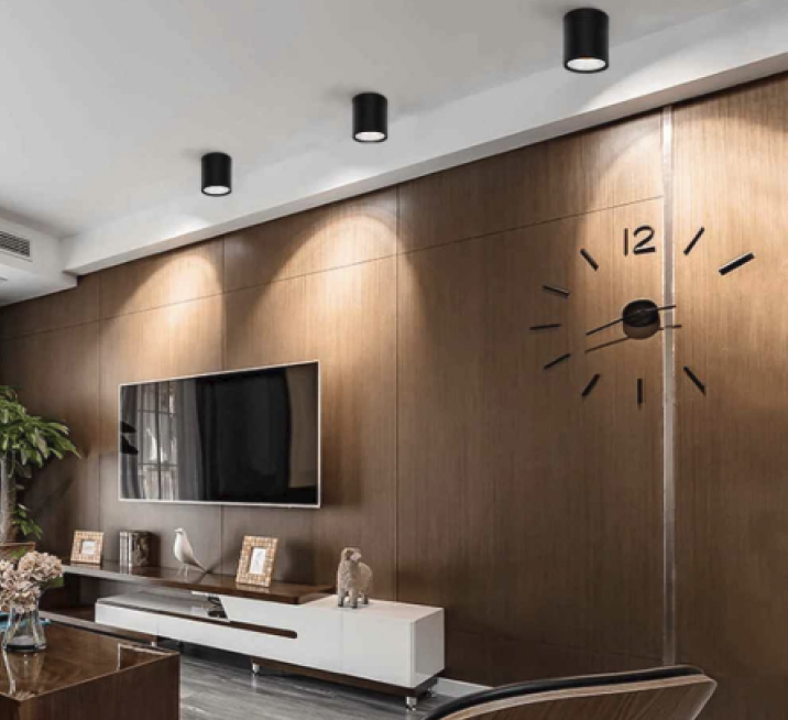 PREMIERLIGHT HAYA SERIES SURFACE DOWNLIGHT - view 4